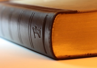 Implementation of New Legal Acts and Laws in Environmental Protection Field