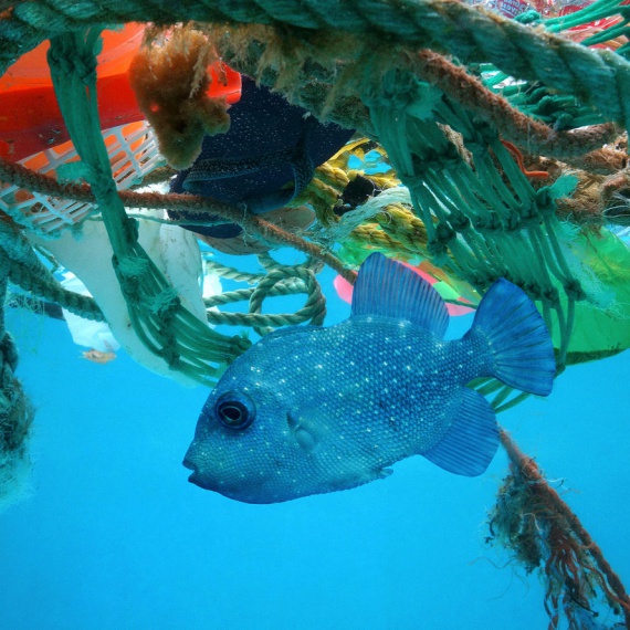 Marine pollution