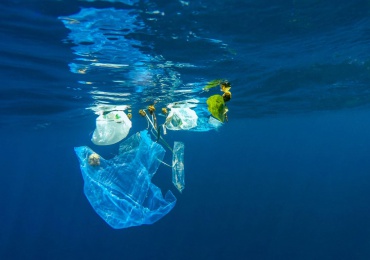 Plastic & Marine Debris