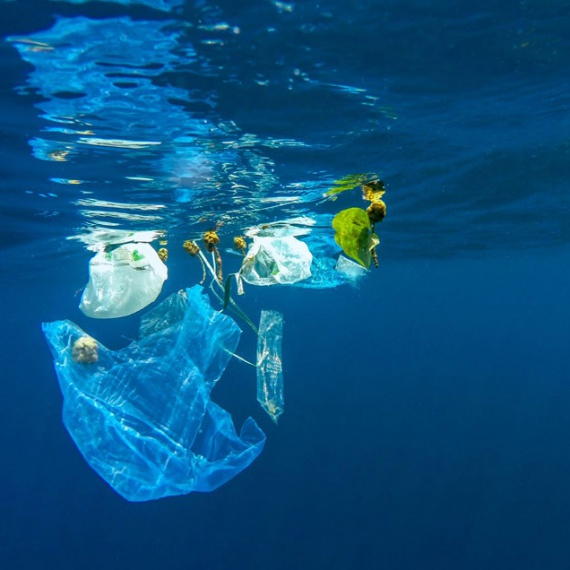 Plastic & Marine Debris