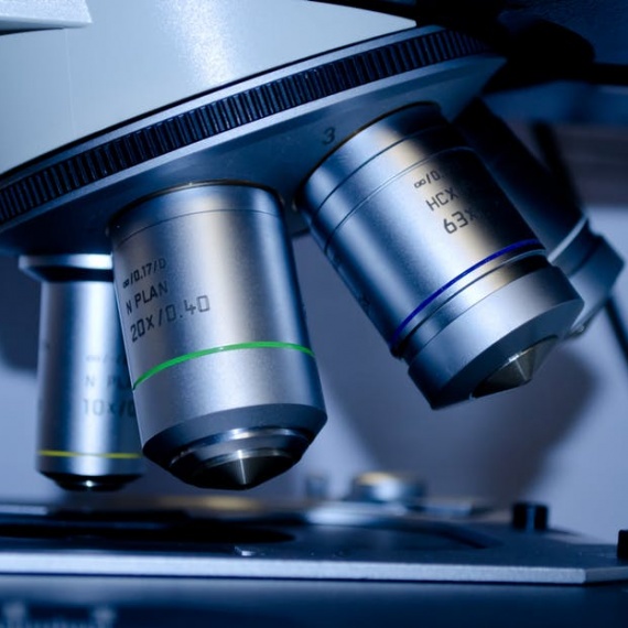 Research Institutes & NGOs